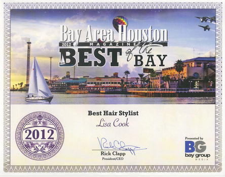 Lisa Cook received the 2012 Bay Area Houston "Best of the Bay" award for Best Hair Stylist! You can have confidence that your hair is in good hands.